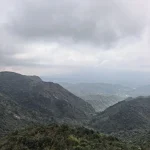 既济帆的头像君墨国学文化（公众号君墨紫微斗数）君墨国学文化